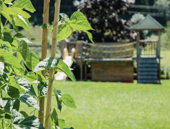 Garten Video vom Aparthotel Steger